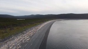 Бухта Онгачан. Белоплечий орлан. Белухи.