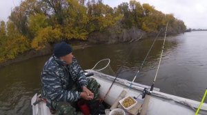 Рыбалка "Бузан 2017" Не клюет Психанул. Эхолот