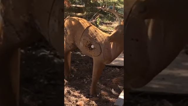 Deer target with bow