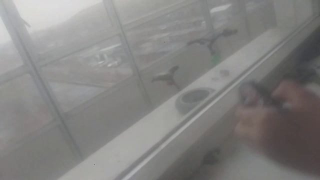 свалка часть1 смотреть онлайн