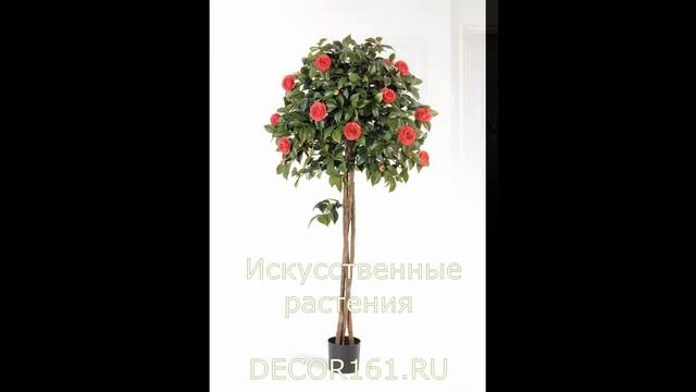 Искусственные растения 2022 смотреть онлайн