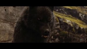 Джейкоб отказывается подчиняться т покидает стаю