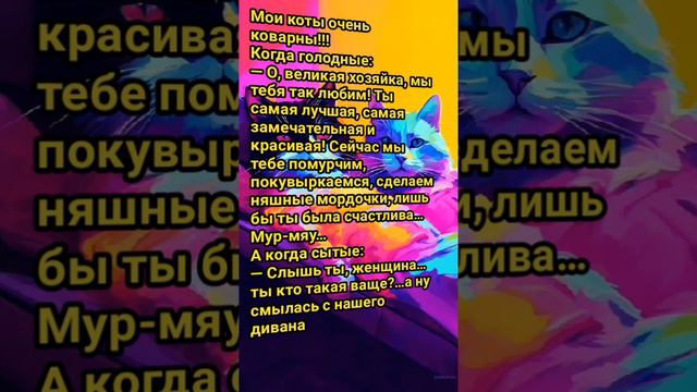 анекдот про котов