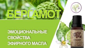 Эфирное масло бергамота - полезные свойства для нервов, при депрессиях.