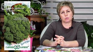 КАПУСТА БРОККОЛИ ? Лучшие сорта и новинки от агрофирмы ГАВРИШ