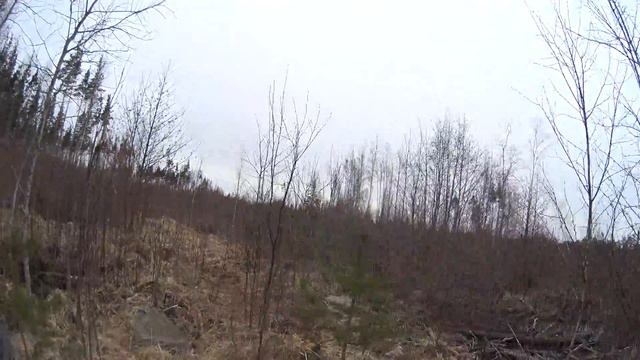 Часть 7. Открытие охоты на гуся, селезня, вальдшнепа. Решили временно вернуться в наш лагерь. смотреть онлайн