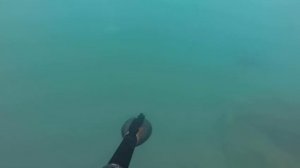 Подводная охота на лобана 2016 в грозу
