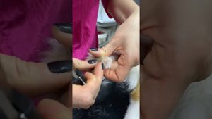 СТРИЖКА КОГТЕЙ / ГРУМИНГ / GROOM SCHOOL