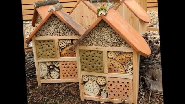 Биологическая борьба с вредителями Отель для насекомых смотреть онлайн