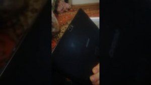 Утопил планшет. Внутрь попала вода