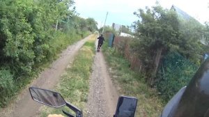 Совместные покатушки на White Siberia Luna 800w и Kugoo M2 350w (Куго м2)