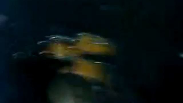 За спиной смотреть онлайн