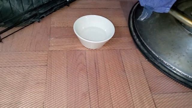 Купили щенка смотреть онлайн