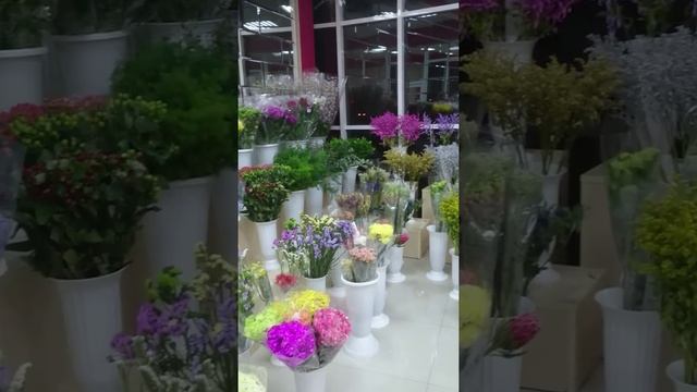 Салон цветов Флорист. Грозный пр. Кирова 1а смотреть онлайн