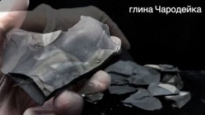 Глина Чародейка | обзор сорта, описание вкуса, хруст