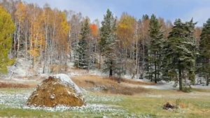 Слайд-шоу к стиху «Первый снег » Ивана Бунина