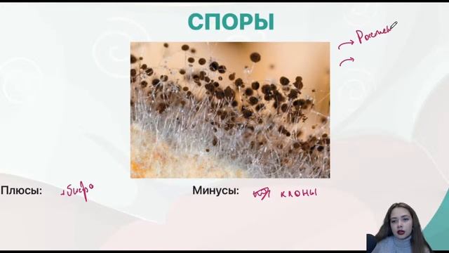 Виды размножения | Биология ЕГЭ 2021 | ДАЙБОБРУ