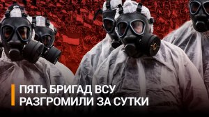 Едкий запах и разложение: ВСУ зачищают поля от трупов сослуживцев. Пять бригад разгромлено