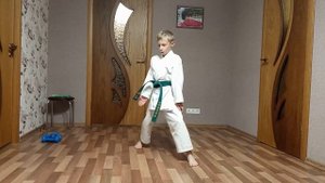 Основные стойки в карате