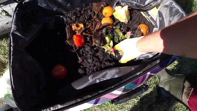 ВЕРМИЧЕМОДАН. Разведение червей в чемодане. смотреть онлайн