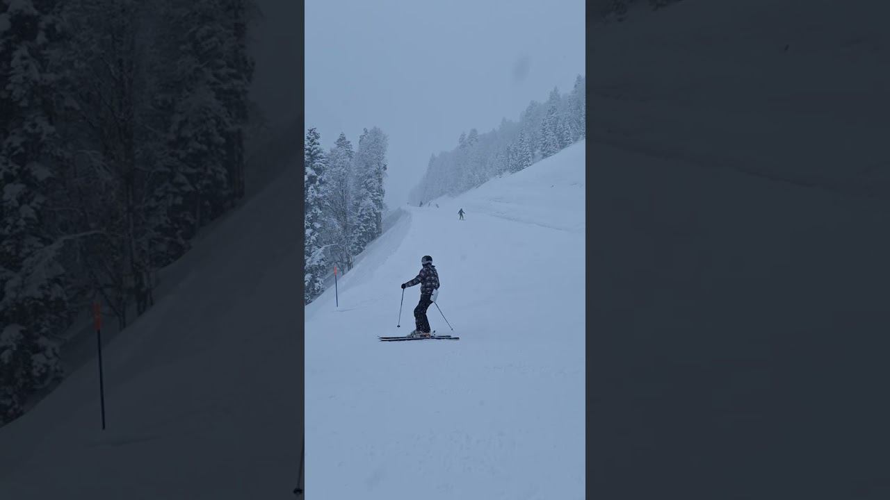 Спуск на трассе панорама 15 марта 2024 г.Краснодар Роза пик высота 2300
