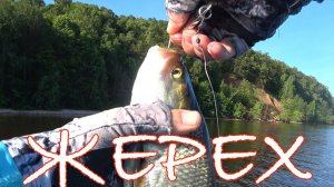 УРА! ПОВЕЗЛО! ЖЕРЕХ! Открытие ловли хищника с лодки!