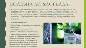 БИОЛОГИЯ. ВСЁ ПРОСТО ОБ ОДНОКЛЕТОЧНЫХ ВОДОРОСЛЯХ