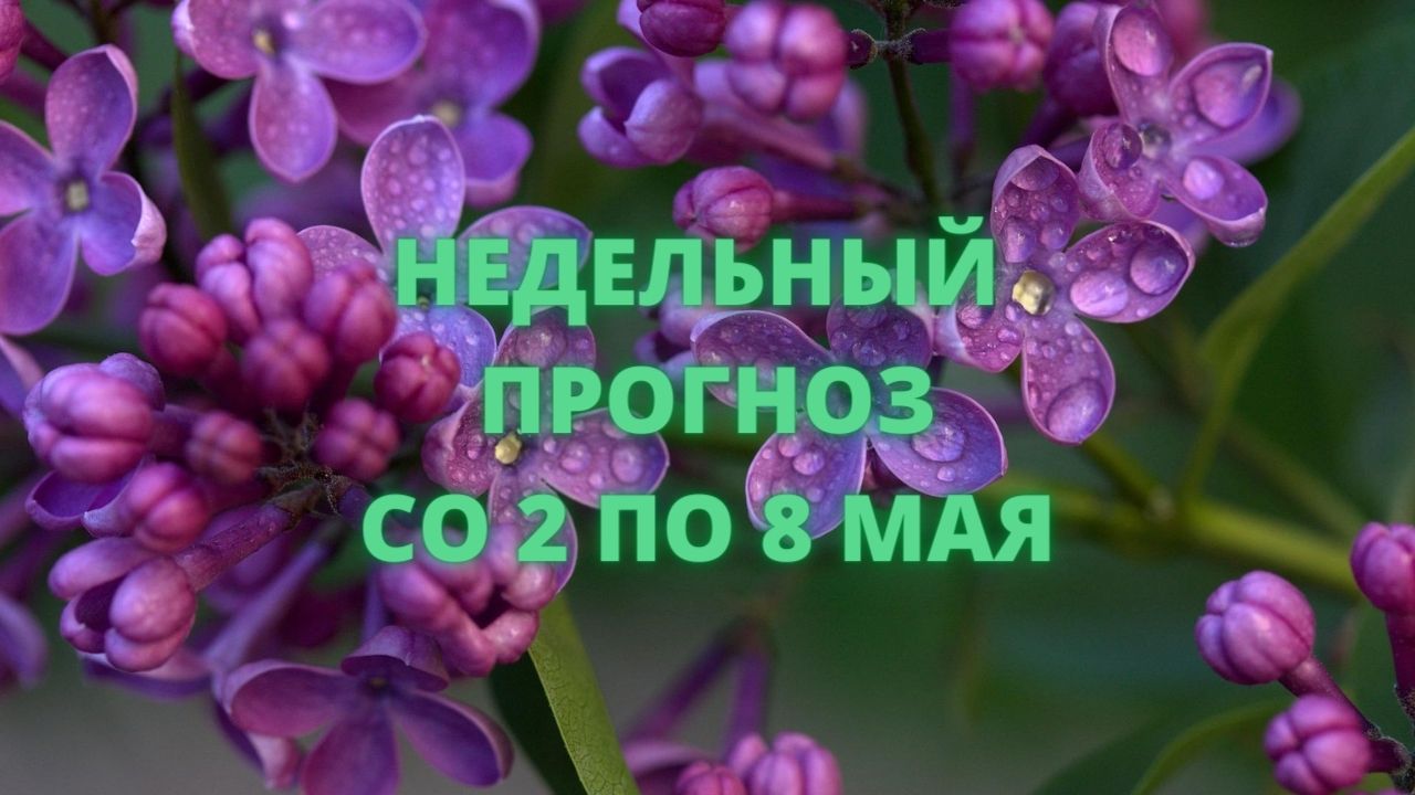 НЕДЕЛЬНЫЙ ПРОГНОЗ СО 2 ПО 8 МАЯ ? #таро #картадня #прогноз