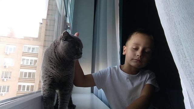 милые котики #жизнькота #кузя #мойкот