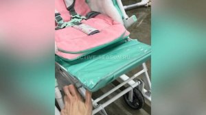 Обзор санок-колясок Ника Детям Disney Baby 2