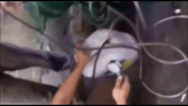 OM 366 Retificado Funcionando fora do veiculo смотреть онлайн