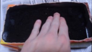 как вырастить перец из семян в домашних условиях ч1