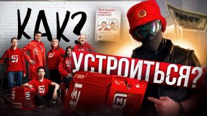Как устроиться на работу курьером в Магнит Доставку | Инструкция