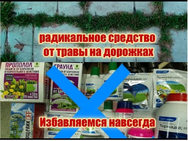 Средство от сорняков навсегда. Радикальное средство от сорняков. Средства от травы на дорожках. Лучшее средство от сорняков и травы навсегда на кладбище. Как избавиться от травы раз и навсегда.