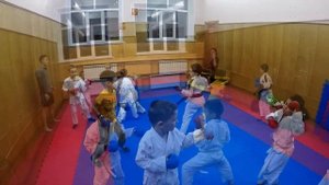 Тренировка начальной группы каратэ WKF. Training Karate WKF. Karate championship wkf