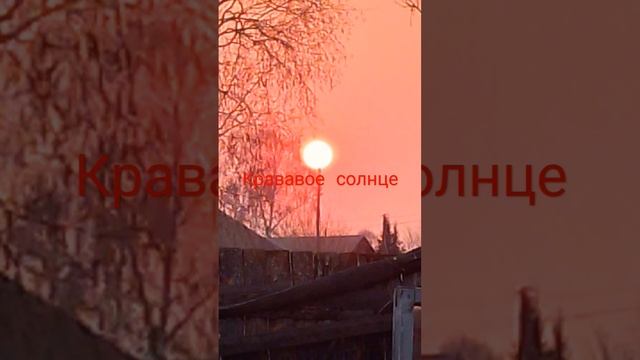 красное солнце