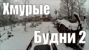 ❄ Готовимся к зиме // Жизнь Бука // Зернодробилка спустя 1,5 года