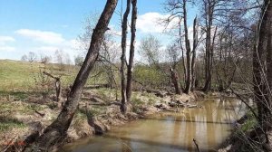 #327 Тяжелые находки. Поиск с Nokta Makro Legend