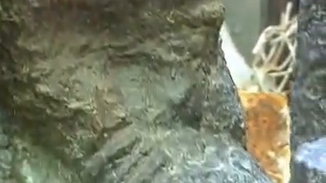 Тайная вечеря. Скульптура Лазаря Гадаева смотреть онлайн