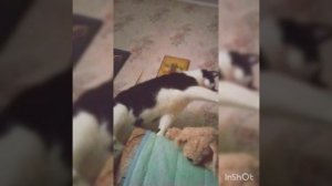 с добрым утром