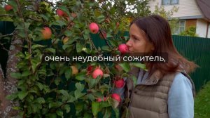 Шокирующий Главный признак, что жена тебя больше не любит
