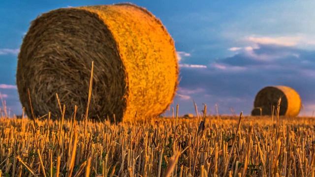 Красивая Восточная Музыка Для Расслабления И Гармонизации Дзен Музыка Zen Music