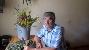 Нонея темно-бурая. Как избавить организм от тромбов.