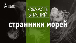 Как морские сущ ества мигрируют в Мировом океане? Лекция биолога Александра Семёнова