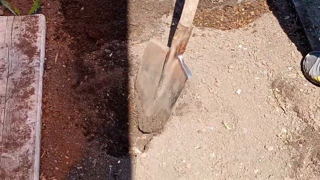 Посадка картофеля / Как я картошку сажала.