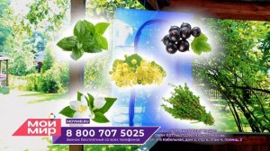 Чудо-сушилка Урожайная