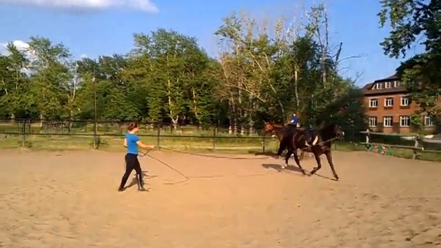 Разминка на корде июль 2011г. смотреть онлайн