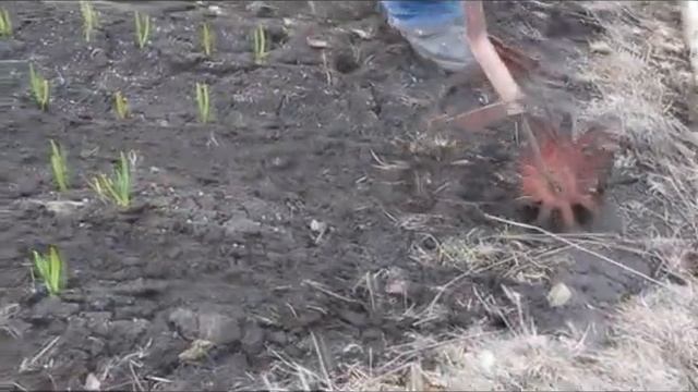 Ручной роторный культиватор