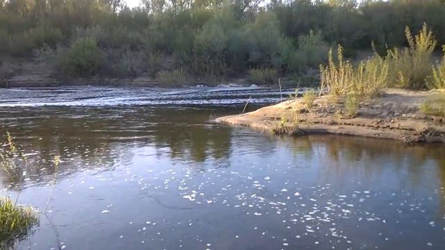 ГЭС В ФОМЁНКОГО 2016 05 05 смотреть онлайн