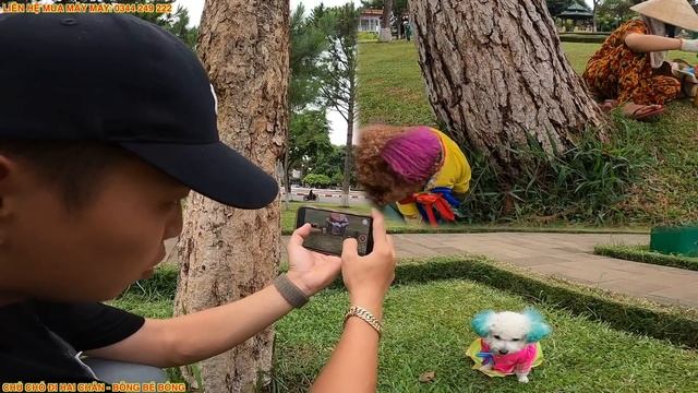 TẬP 21: ĐỘI THÁM TỬ GIĂNG BẪY ĐỂ TÓM KẺ "BÁN GÀ RÁN SIÊU BẨN" LIỆU CÓ THÀNH CÔNG | BÔNG BÉ BỎNG смотреть онлайн